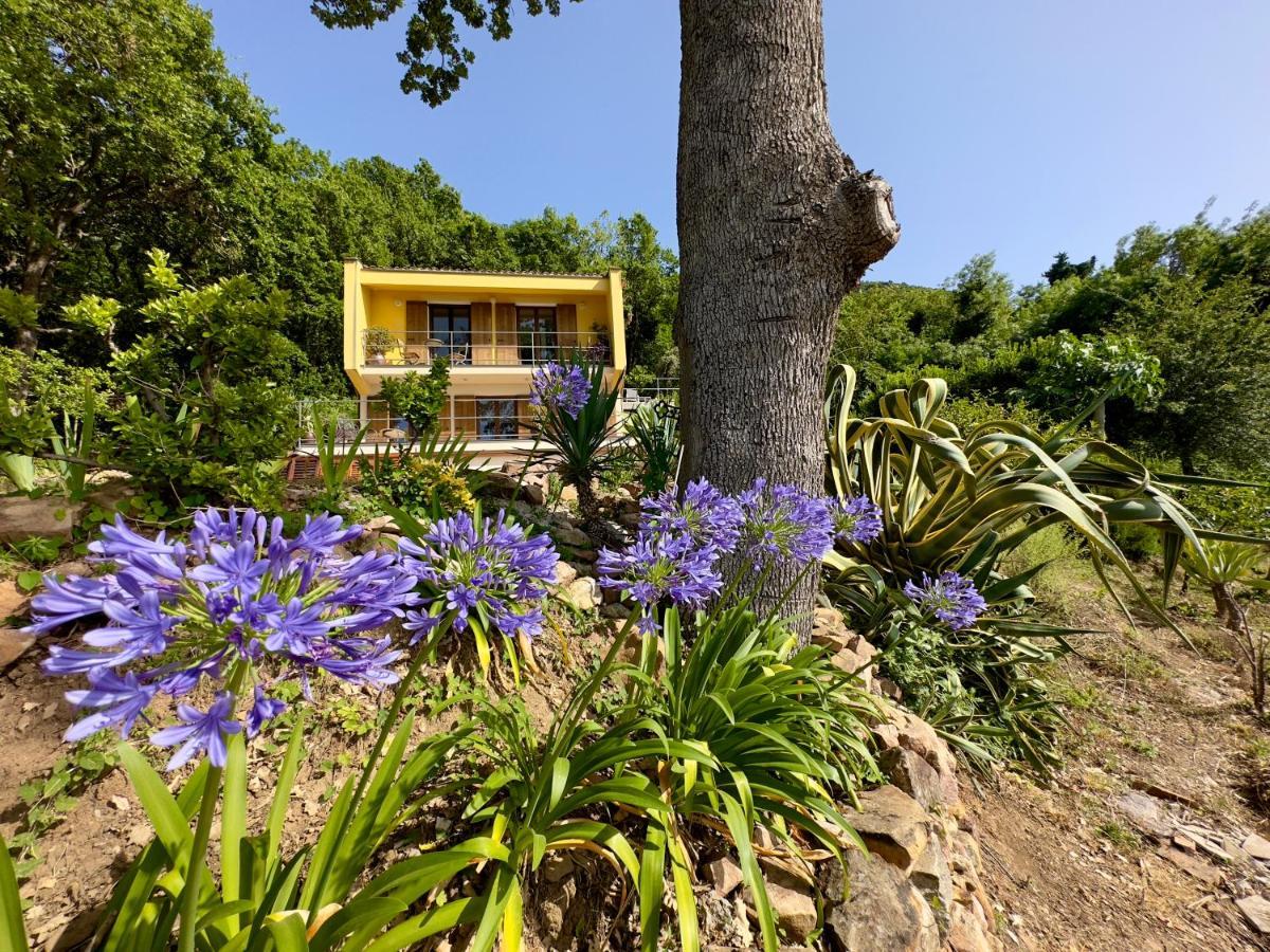 Cefalu Forest Hideout Екстер'єр фото