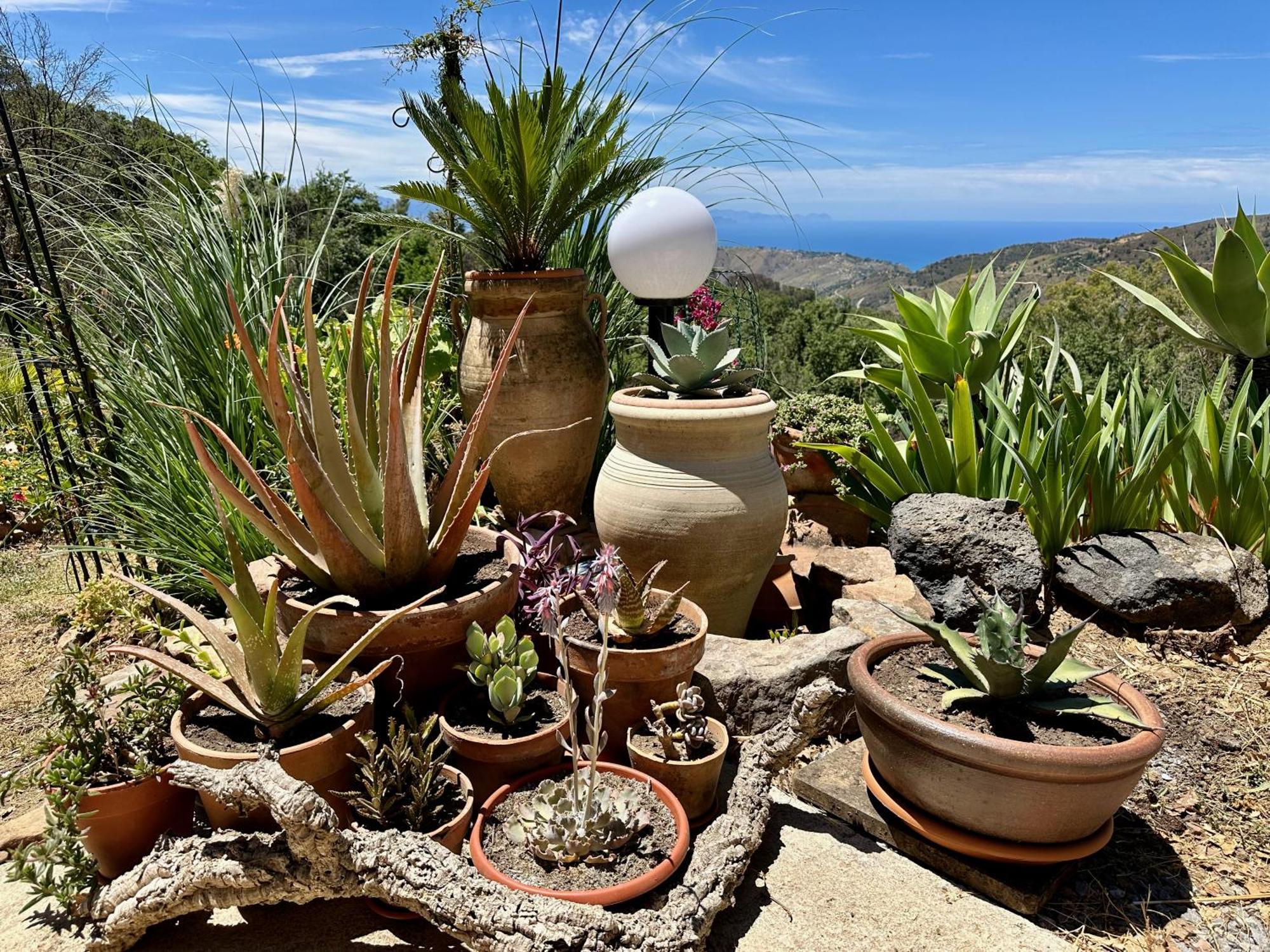 Cefalu Forest Hideout Екстер'єр фото